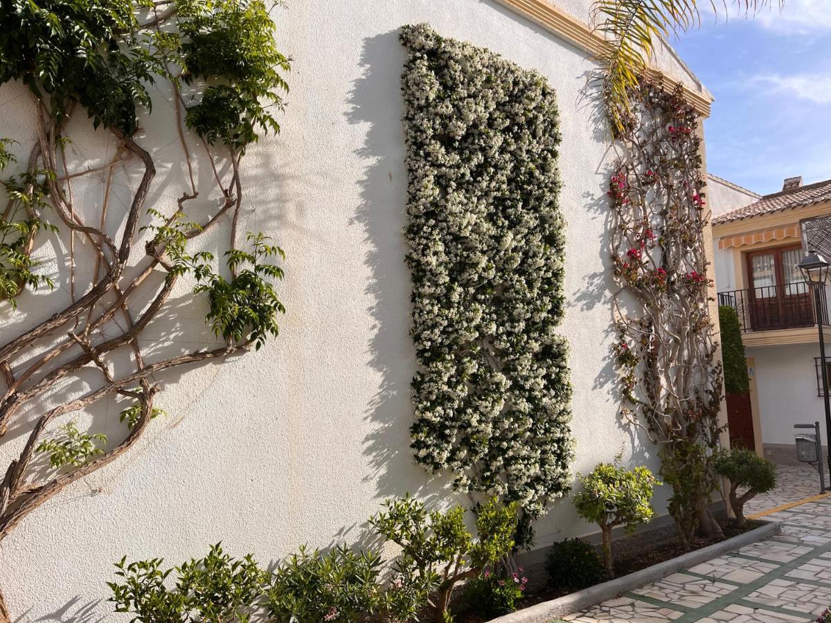 Apartment Casa Del Pescador En Vera